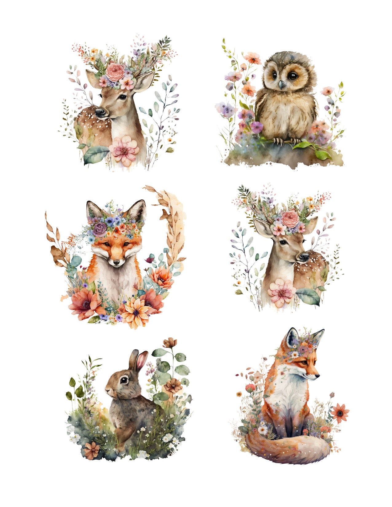 Spring Meadow: Animal Ephemera