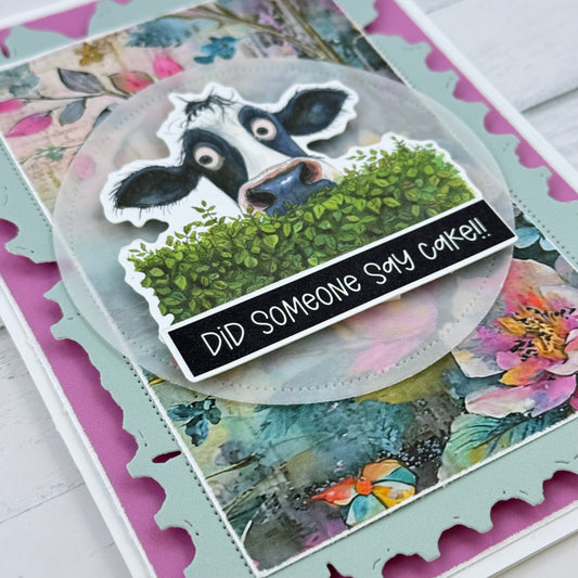 Cheeky Cow Birthday Card Collection