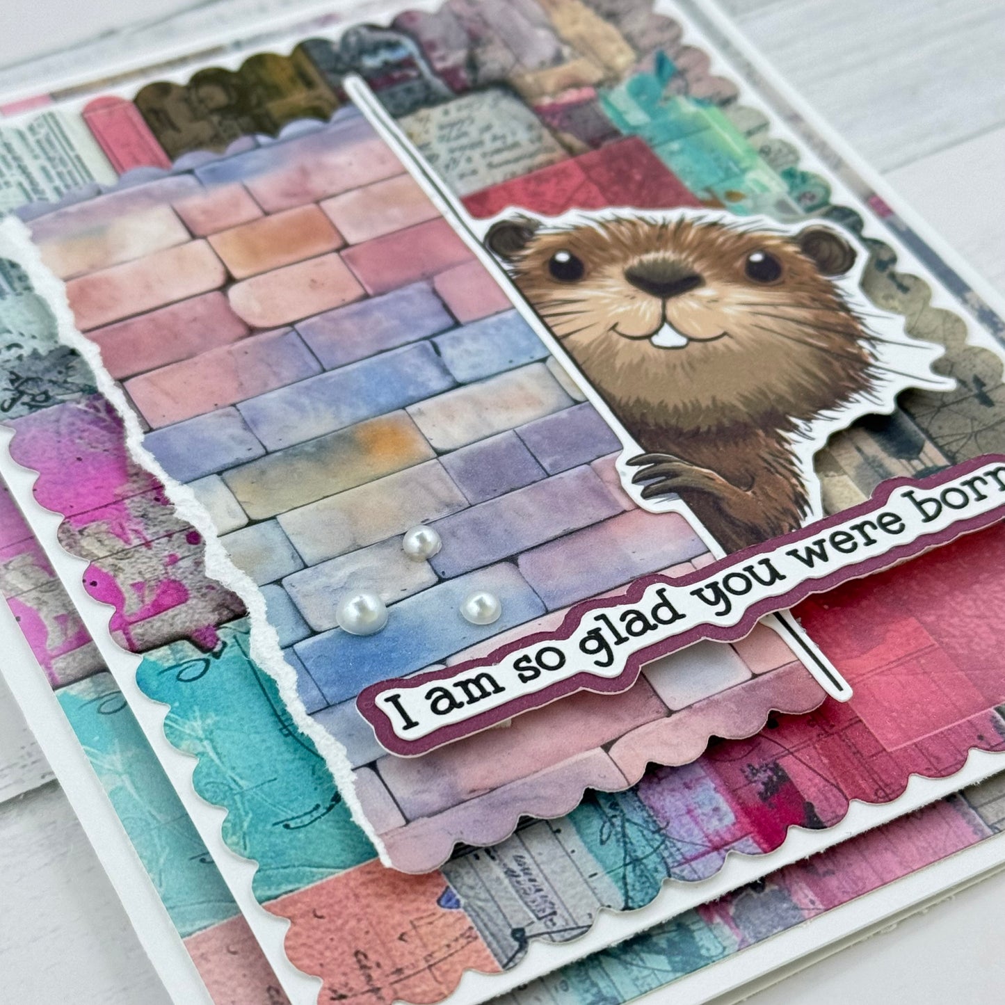 Peeping Friends Card Collection
