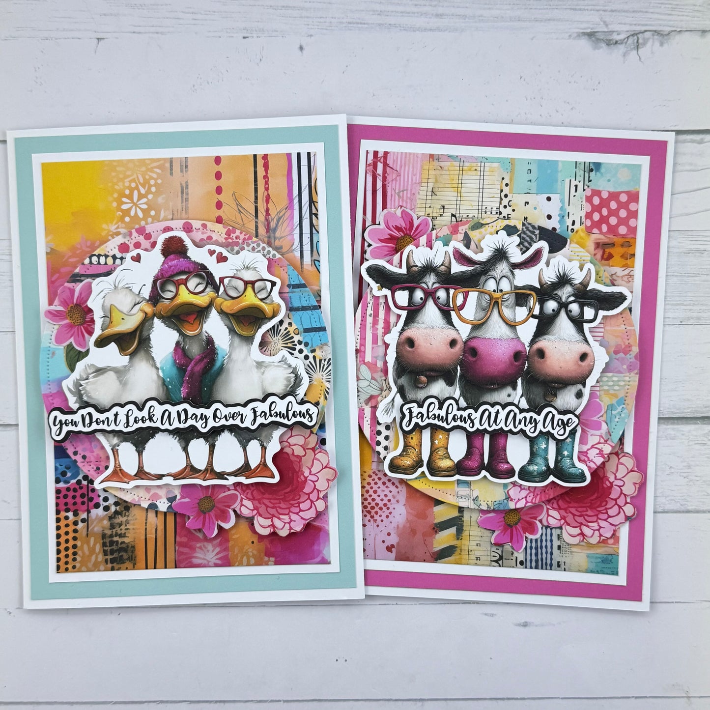 Quirky Animal Card Collection PRE ORDER