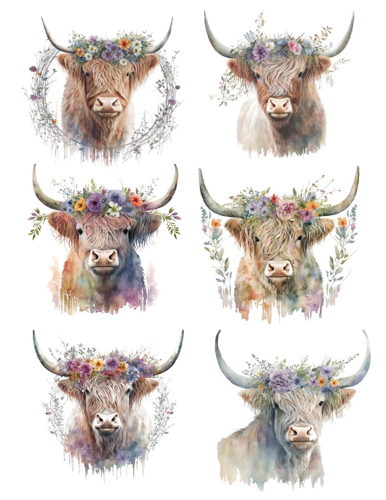 Spring Meadow: Highland Cattle Ephemera